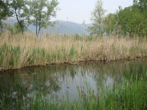 Lago_di_porta