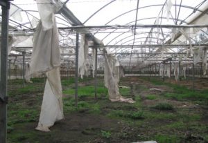 serre-abbandonate