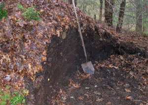 apocalottimismo compost