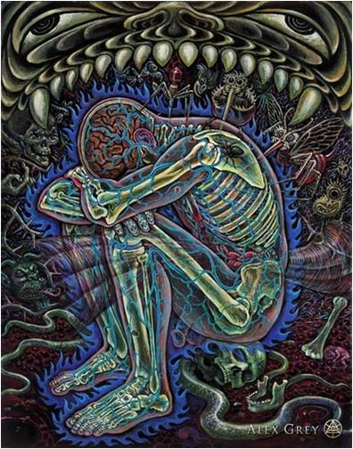 entropy apocaloptimism