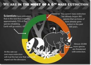 extinction rebellion estinzione di massa