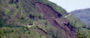 taglio dei boschi